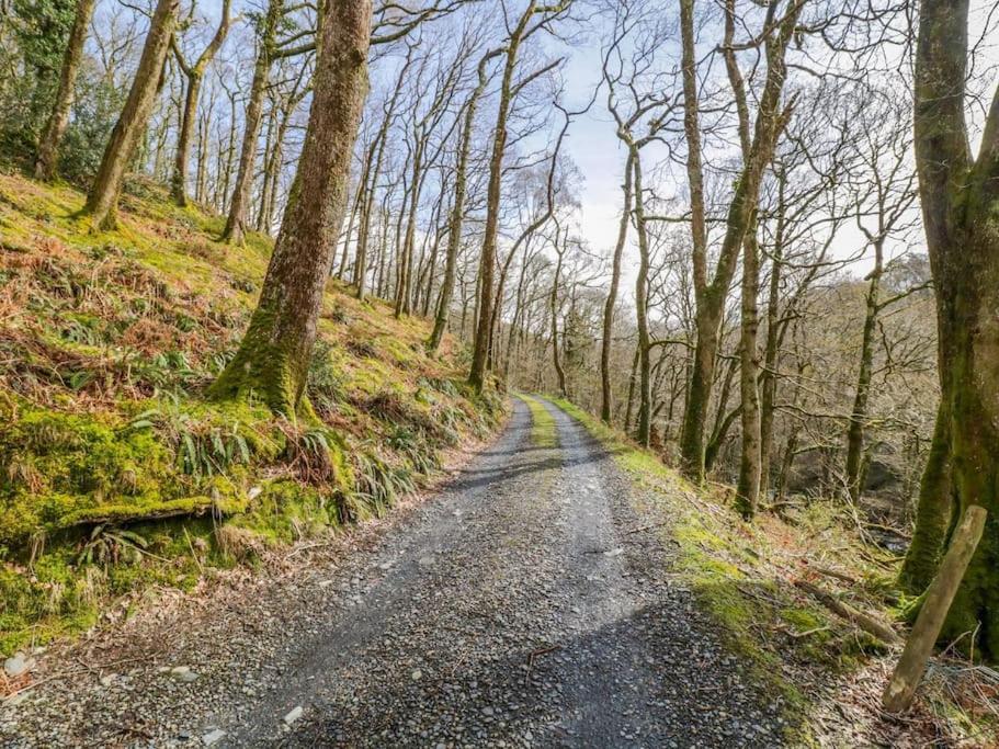 Y Cwtch - Panoramic Mountain Views Within Snowdonia'S National Park - 4X4 Recommended Villa Dolgellau Exteriör bild
