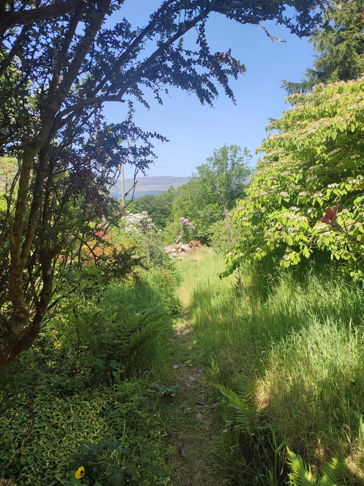 Y Cwtch - Panoramic Mountain Views Within Snowdonia'S National Park - 4X4 Recommended Villa Dolgellau Exteriör bild
