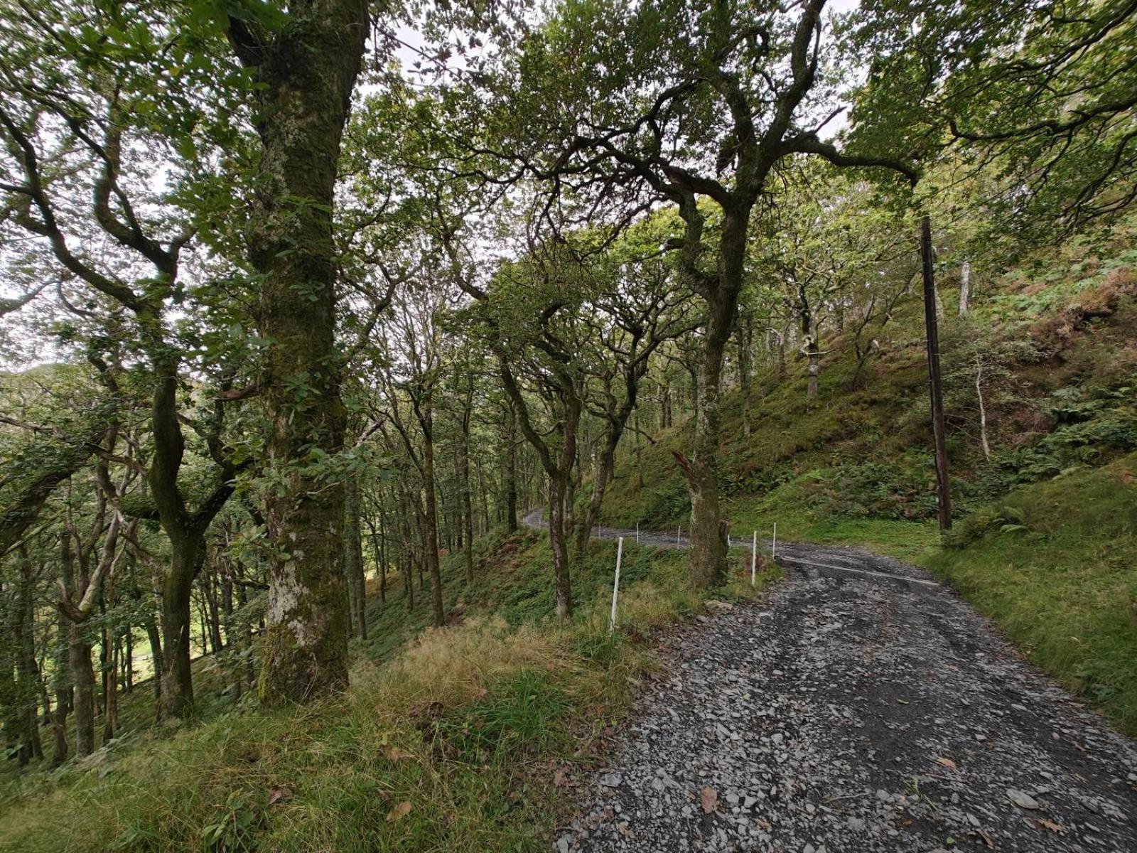 Y Cwtch - Panoramic Mountain Views Within Snowdonia'S National Park - 4X4 Recommended Villa Dolgellau Exteriör bild
